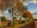 खेल Russian Road