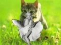 खेल Kitty saevs the day!