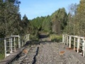 खेल Diamond Bridge Escape