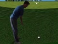 खेल Flash Golf 3D