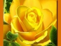 खेल Yellow Roses