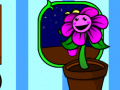खेल My pocket plant 