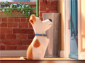 खेल Hidden Letters in The Secret Life of Pets