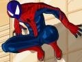 खेल Spiderman Costume