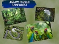 खेल Jigsaw Puzzle Rain Forest 