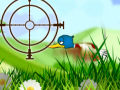 खेल Quack Hunt