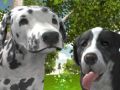 खेल Dog Simulator 3d