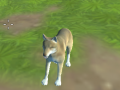 खेल Wolf Simulator