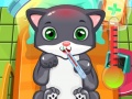 खेल Cat Doctor