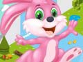खेल Bunny Run