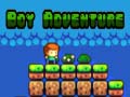 खेल Boy Adventure