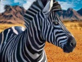 खेल Zebra Hunter