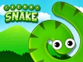 खेल Frenzy Snake