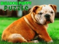 खेल Bulldog Puppy Puzzle