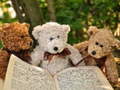 खेल Cuddly Three Teddy Jigsaw