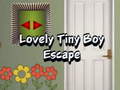 खेल Lovely Tiny Boy Escape