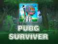 खेल PUBG Surviver