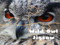 खेल Wild owl Jigsaw