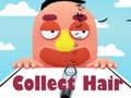 खेल Collect Hair