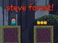 खेल Steve Forest