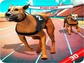 खेल Crazy Dog Race