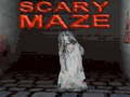 खेल Scary Maze 3D