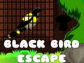 खेल Black Bird Escape