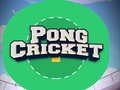 खेल Pong Cricket