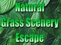 खेल Natural Grass Scenery Escape