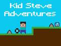 खेल Kid Steve Adventures