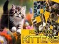 खेल Puzzle Sliding Kittens