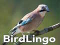 खेल BirdLingo
