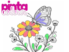खेल Pinta Colour