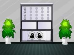 खेल White House Escape