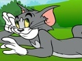 खेल Tom and Jerry ATV Adventure