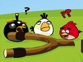 खेल Angry Birds Go Crazy