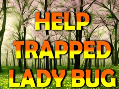 खेल Help Trapped Lady Bug