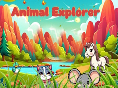 खेल Animal Explorer 