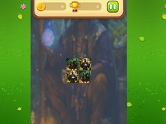 खेल Magic Druid Memory Match