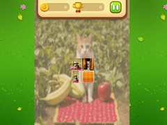 खेल Farm Cat Memory Match