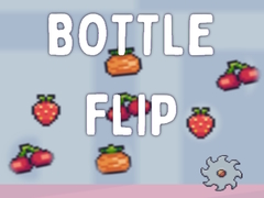 खेल Bottle Flip