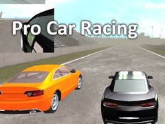 खेल Pro Car Racing