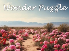 खेल Wonder Puzzle