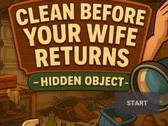 खेल Clean Before Your Wife Returns Hidden Object