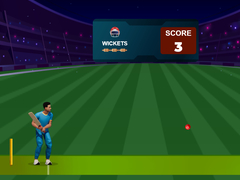 खेल Cricket Night 2