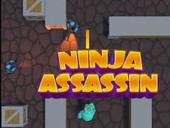 खेल Ninja Assassin