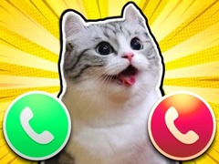 खेल Komaru Cat