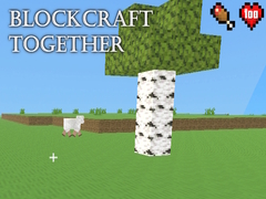 खेल BlockCraft Together