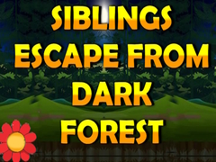 खेल Siblings Escape From Dark Forest