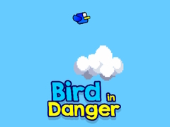 खेल Bird in Danger